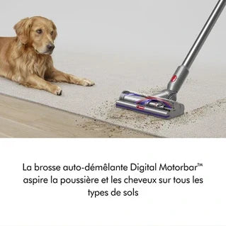 Aspirateur balai Dyson V15 DETECT ABSOLUTE