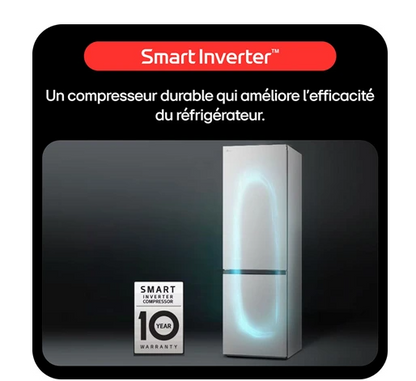 Réfrigérateur congélateur en bas Lg GBV22NCDPY
